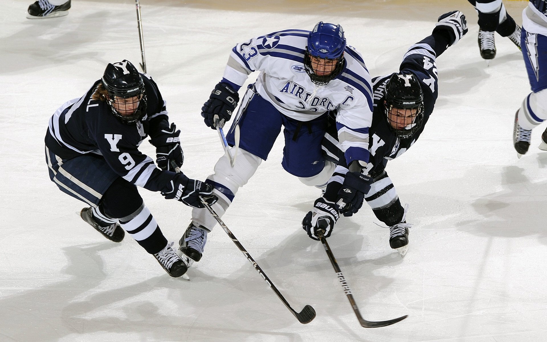 美国马术协会引入智能马鞍系统，实现实时数据监测与分析，提升骑乘体验。